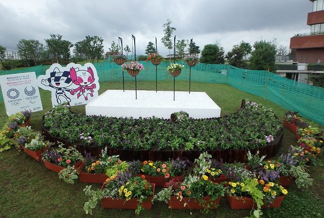 期間限定の花壇を設置しました 特定非営利活動法人 花と緑のまち三鷹創造協会
