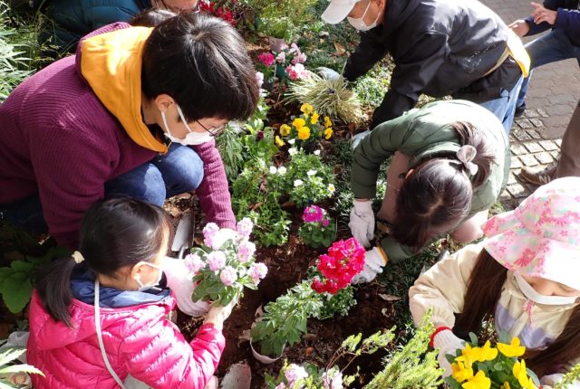 かもん みてってミニガーデンお花の植え付けイベントを開催しました 特定非営利活動法人 花と緑のまち三鷹創造協会